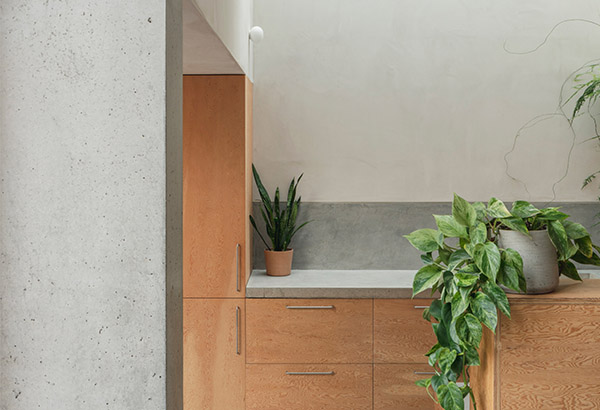 Sustainably retrofitting a North London apartment