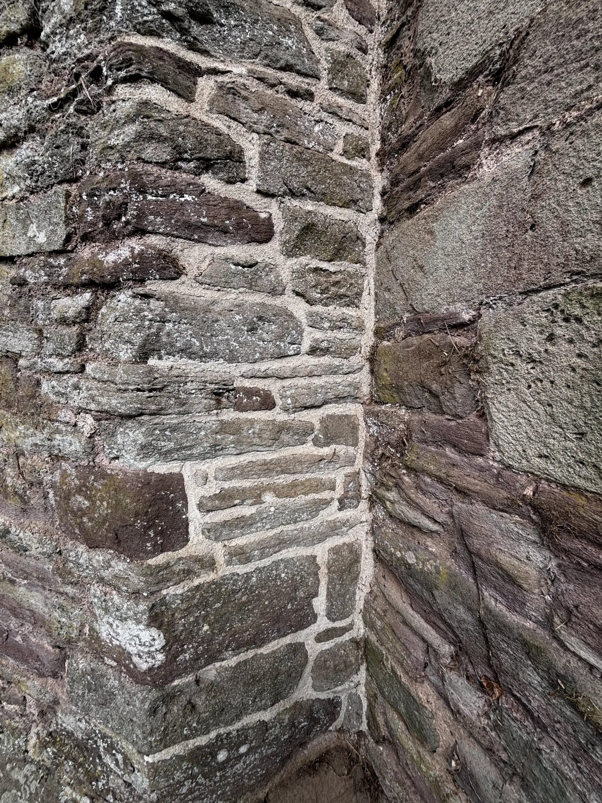kinnersley close up